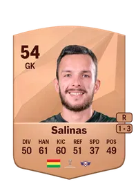 Lucas Salinas FIFA Coins Kaufen PS5
