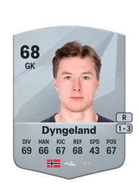 Mathias Dyngeland FIFA Crediti