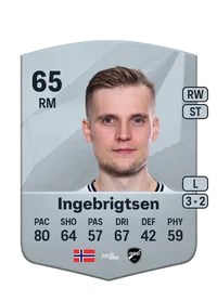Mikael Norø Ingebrigtsen FIFA Crediti