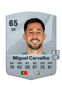 Miguel Ângelo Loureiro Carvalho FIFA FUT Coins Kaufen