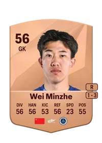 Minzhe Wei FIFA Ultimate Team Coins Kaufen