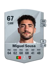 Miguel Ferreira de Sousa Crediti FIFA