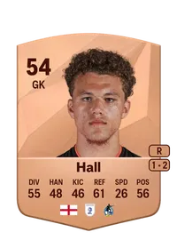 Matthew Hall FIFA Ultimate Team Coins Kaufen