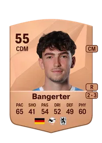 Moritz Bangerter FIFA Ultimate Team Coins Kaufen
