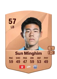 Minghim Sun FIFA Ultimate Team Coins Kaufen