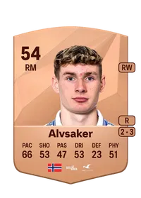 Martin Alvsaker FIFA Münzen Kaufen