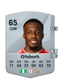 Nnamdi Ofoborh