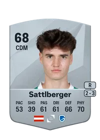 Nikolas Sattlberger FIFA Münzen Kaufen