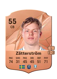 Nils Zätterström Crediti Di FIFA