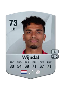 Owen Wijndal FIFA Ultimate Team Coins Kaufen
