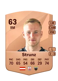 Oliver Strunz FIFA Ultimate Team Coins Kaufen