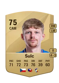 Pavel Šulc CreditFUT