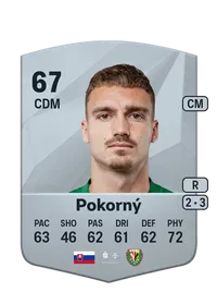 Peter Pokorný FIFA Coins Verkaufen