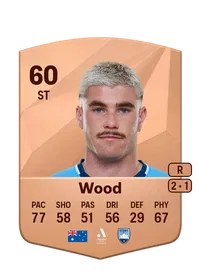 Patrick Wood EA FC 25 Coins
