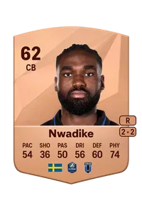 Patrick Nwadike Credit FIFA