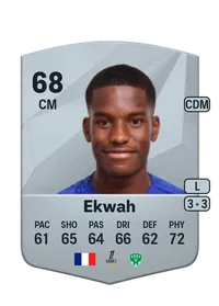 Pierre Ekwah Crediti Per FIFA