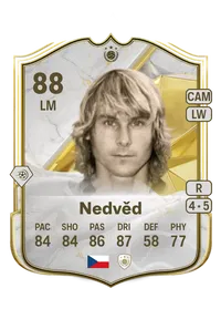 Pavel Nedvěd FIFA Crediti