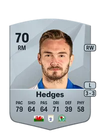 Ryan Hedges FIFA Ultimate Team Coins Kaufen