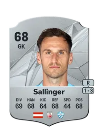 Raphael Sallinger Crediti Per FIFA