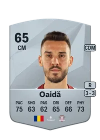 Răzvan Oaidă Crediti Di FIFA