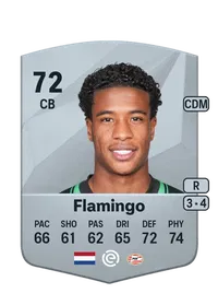Ryan Flamingo Credits FC 25