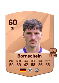 Ricky Bornschein Crediti Per FIFA
