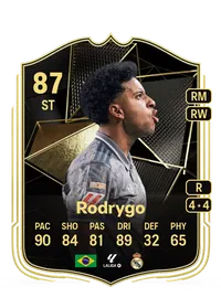 Rodrygo Silva de Goes