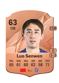 Senwen Luo Credit FUT