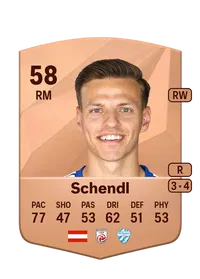 Sandro Schendl Credit FC25