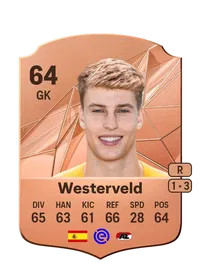 Sem Westerveld Credit FC25