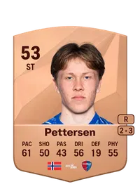 Storm Bugge Pettersen FUT Crédit