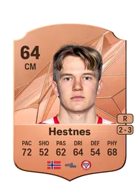 Simen Hestnes FIFA Ultimate Team Coins Kaufen
