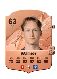 Silvan Wallner Compra Monedas FC 25
