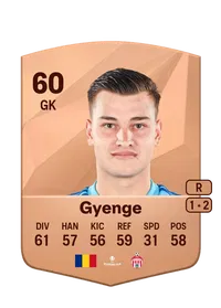Szilárd Gyenge Crédit FUT