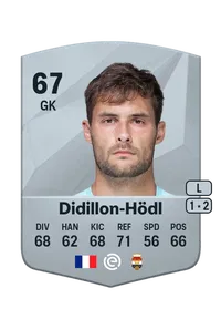 Thomas Didillon-Hödl FIFA Crediti
