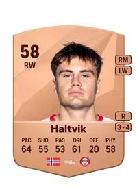 Teodor Berg Haltvik FIFA FUT Coins Kaufen