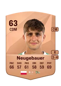Tomasz Neugebauer Crediti FC 25