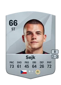 Vu00e1clav Sejk FIFA Coins