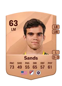 Will Sands FIFA FUT Coins Kaufen