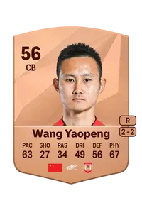 Yaopeng Wang FIFA Ultimate Team Coins Kaufen