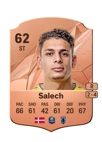 Yousef Salech