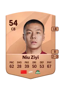 Ziyi Niu CreditFUT