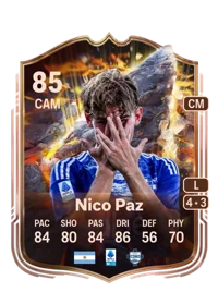 Nicolás Paz Martínez