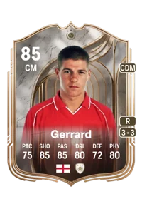 Steven Gerrard FIFA Ultimate Team Coins Kaufen